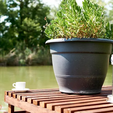 Nyaraló Stég64 - - Hostaid Ráckeve