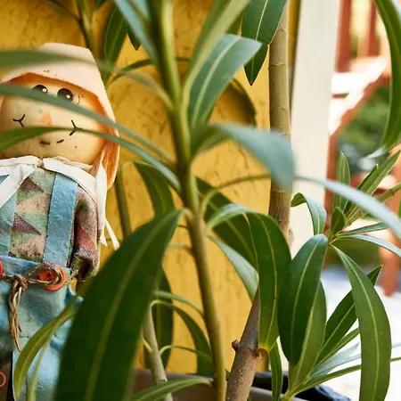 Stég64 - - Hostaid Ráckeve