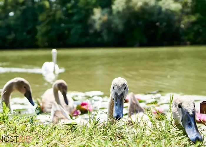 Tatil Evi Steg64 - - Hostaid *